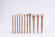 The Brush Collection